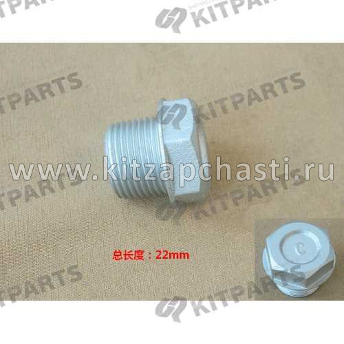 Пробка сливная заднего моста  HAVAL H9  2400020XKV08A